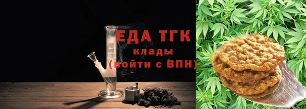 хмурый Бородино