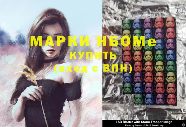 хмурый Бородино