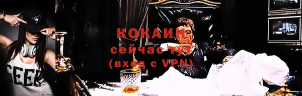 хмурый Бородино
