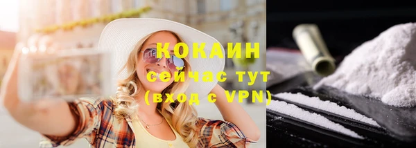 хмурый Бородино