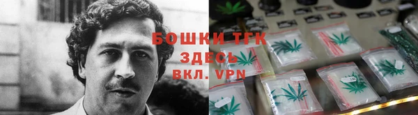 хмурый Бородино