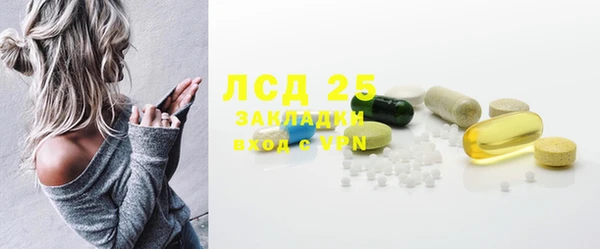 хмурый Бородино