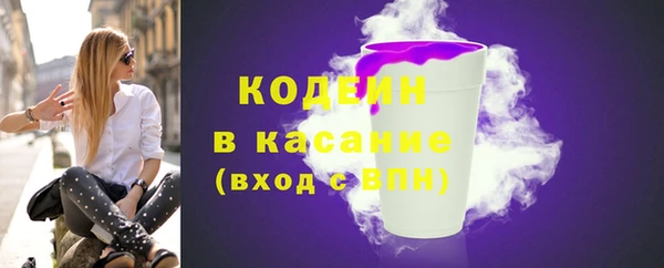 хмурый Бородино
