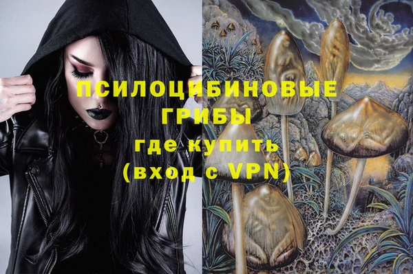 хмурый Бородино