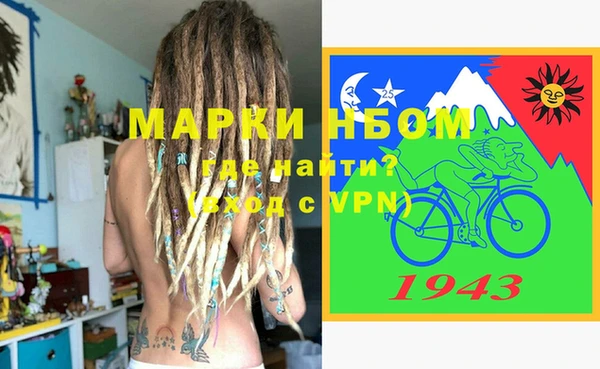 хмурый Бородино