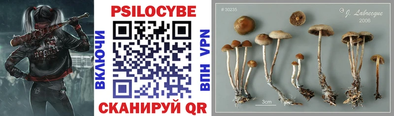Псилоцибиновые грибы Psilocybine cubensis  где купить наркоту  Хабаровск 